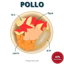 Carica l&#39;immagine nel visualizzatore di Gallery, Dieta Pappa Fresh con carne di Pollo 

