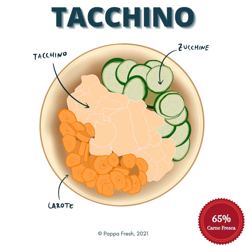 Dieta Pappa Fresh con carne di Tacchino